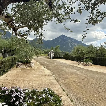 Village Heaven